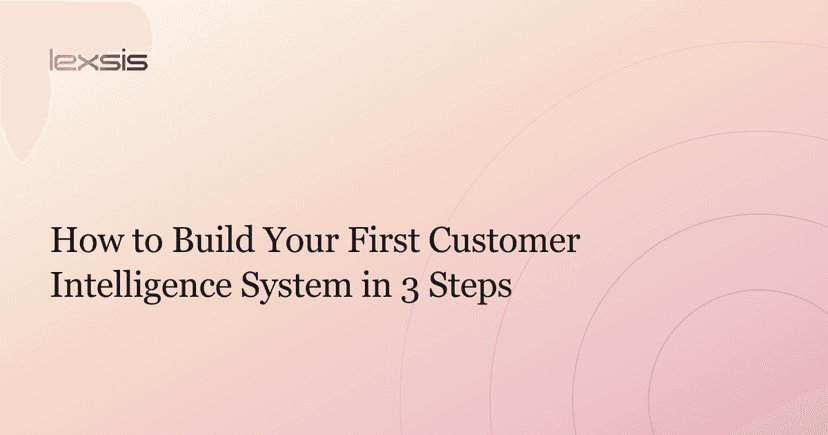How to Build Your First Customer Intelligence System in 3 Steps